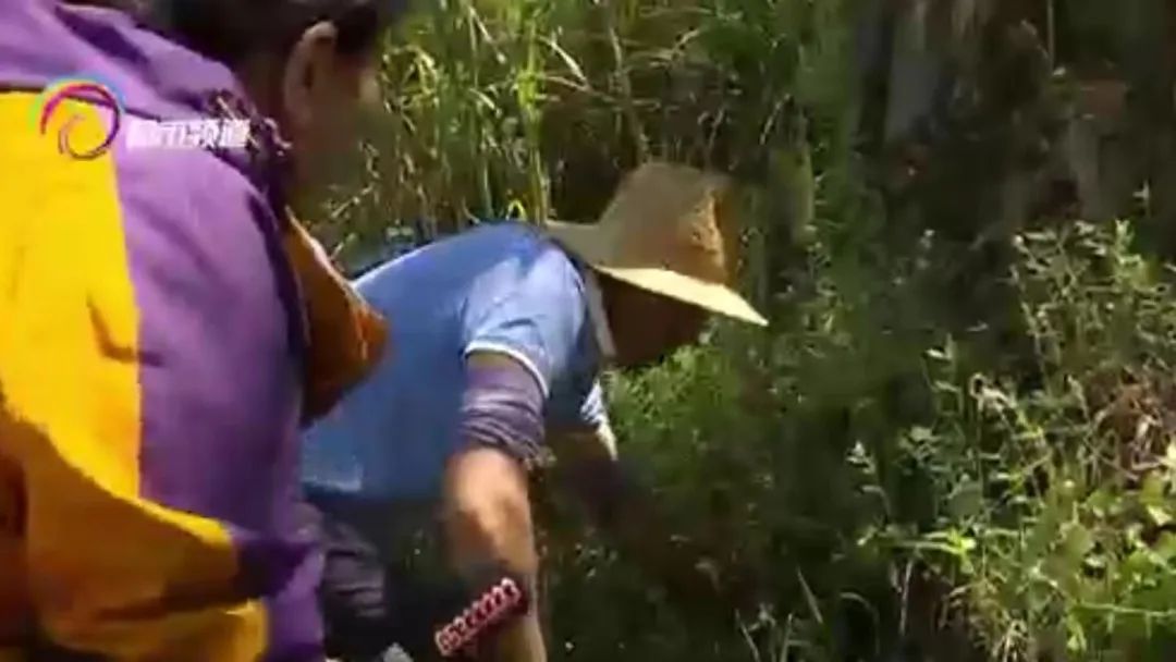 DƬ